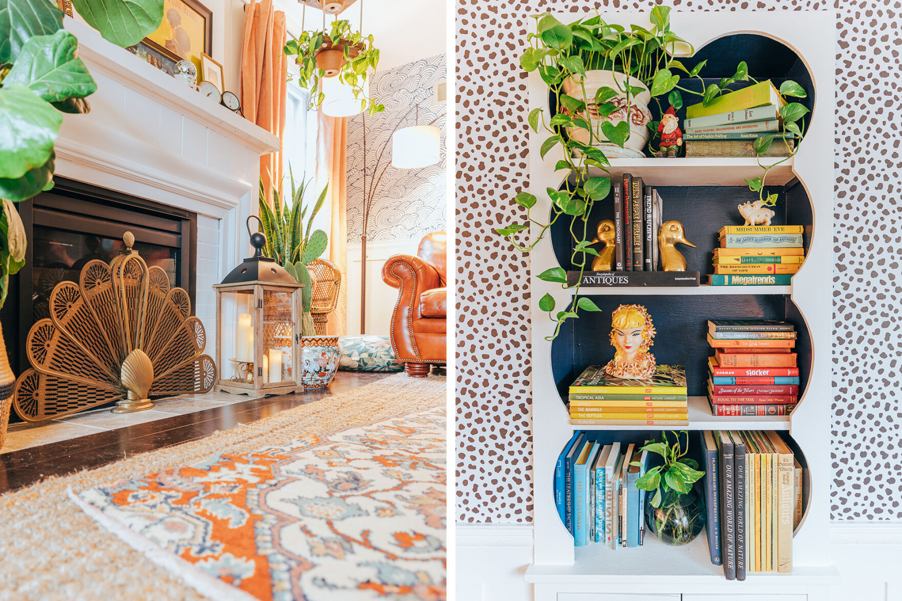 ShopTheGreenHouse_bookshelf.jpg